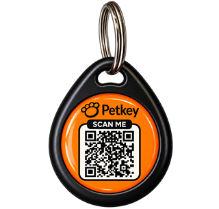 Petkey QR Smart ID Tag with a Scan Me QR code