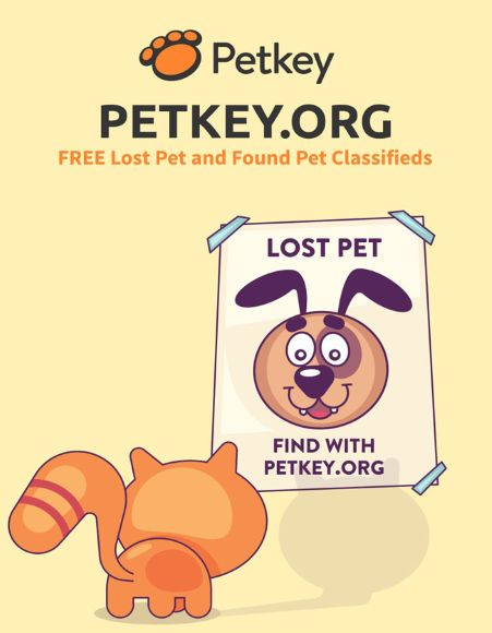 petkey classifieds