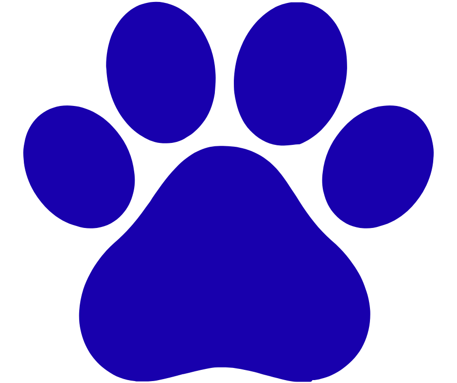 Blue pet paw icon